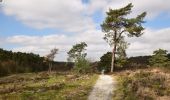 Trail On foot Heerlen - Brunssummer Heide Lichtgroene route - Photo 4