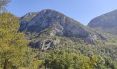 Randonnée Marche Quié - le dolmen de la plagne - Photo 3