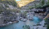 Trail Walking Val-Buëch-Méouge - ANTONAVES . PONT ROMAN . GORGES DE LA MEOUGE . ROCHER DU CHATEAU . O L M S  - Photo 11