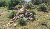 Randonnée Marche La Roquebrussanne - La Roque La loube Col de la barraque les orris - Photo 3