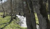 Tour Zu Fuß Geratal - Durch's Tal der Zahmen Gera - Photo 8