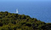 Trail Walking Bandol - SityTrail - fregate - Photo 2