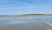 Trail Walking Le Crotoy - balade baie de somme - Photo 1