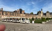 Percorso Mountainbike Fontainebleau - Fontainebleau  - Photo 2