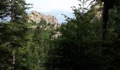 Tour Wandern Sahorre - Col de Jou Mariailles Py - Photo 2