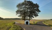 Randonnée A pied Berching - Berching - Holnstein - Photo 1