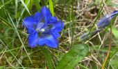 Tour Wandern Engins - Boucle au départ d’engins - Photo 3