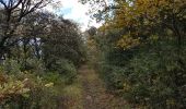 Tocht Stappen Celles - Vailhés Laulo L'Auverne Salagou - Photo 10