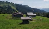 Tour Wandern Arâches-la-Frasse - Les Tronchets - Photo 4