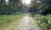 Tocht Stappen Orrouy - en Forêt de Compiègne_41_autour des Petits Monts - Photo 12