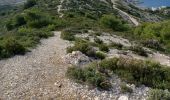 Tour Wandern Marseille - Callelongue - Corniche Salis - Pas de Gracia - Grotte Roland  - Photo 1