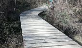 Trail Walking Saillans - chataignier - Photo 1