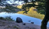 Randonnée Marche La Bresse - VOSGES 2023 - Jour 1 - Le Lac aux Corbeaux - Photo 1