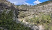 Randonnée Marche Val-Buëch-Méouge - 190423 Tour des gorges de la Méouge  - Photo 2