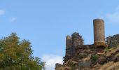 Randonnée Marche Mont Lozère et Goulet - Château de Tournel - Photo 11