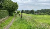 Tour Wandern Halle - Lembeek 27 km - Photo 14