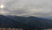 Trail Walking Collioure - madeloc depuis col de la serra, via col de villauria, batterie 500, retour  - Photo 5