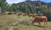 Tour Wandern Ceillac - Boucle crête du Riou Vert et  Col de Bramousse - Photo 9