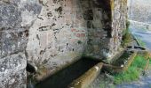 Trail Walking Peyrelevade - les Fontaines de Cezeyrat  - Photo 4