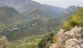 Randonnée Marche Roquestéron - Roquesteron : la cime de la Cacia - Photo 19