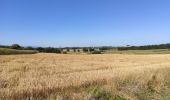 Tocht Hybride fiets Heimsbrunn - Heimsbrunn Dannemarie  - Photo 1