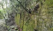 Excursión Senderismo Méounes-lès-Montrieux - Chartreuse de Montrieux, lac et vallée du Gapeau - Photo 1