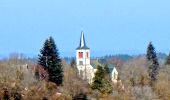 Randonnée Marche Cisternes-la-Forêt - Cisternes_Bois_Bauges - Photo 1