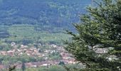 Tour Wandern Celles-sur-Plaine - celles sur plaine - Photo 1