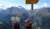 Tour Zu Fuß Samedan - Muottas Muragl - Chna. Segantini - Photo 4