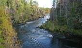 Percorso A piedi Kuusamo - Oulangan erämaareitti (Talvireitti) - Photo 4