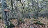 Randonnée Marche Cazenave-Serres-et-Allens - cabane du pla de Tabe - Photo 2