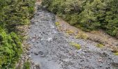 Trail On foot Unknown - Te Araroa - 04 Whanganui - b Mangatepopo to National Park - Photo 7