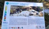 Percorso Marcia Castellane - chemin des syreneens - Photo 6