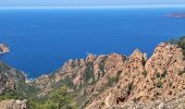 Tocht Stappen Piana - tour des châtaigniers de palani - Photo 4