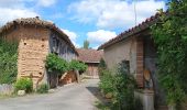 Tocht Stappen Nègrepelisse - Le long de l'Aveyron  - Photo 1