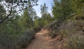 Trail Walking Ensuès-la-Redonne - laRedonne le grand Méjan - Photo 13