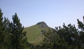Trail On foot Bellver de Cerdanya - Pic del Moixeró - Photo 5