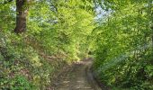Trail Walking Blegny - Blegny et ses campagnes 🥾 - Photo 14