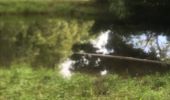 Tour Wandern Sainte-Anne - La boucle - Photo 3