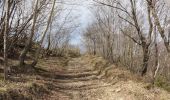 Percorso A piedi Palazzuolo sul Senio - Sorgenti di Firenze Trekking - Anello 16: Nella Romagna Toscana - Photo 2