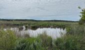 Trail Nordic walking Vendays-Montalivet - Marais de la Perge - Photo 2