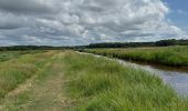 Trail Nordic walking Vendays-Montalivet - Marais de la Perge - Photo 7