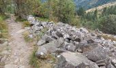 Tour Wandern Linthal - Hilsen-Hilsenfirst-Petit Ballon-Hilsen - Photo 6