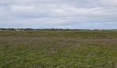 Tocht Stappen Étaples - Baie de la Canche - Photo 1