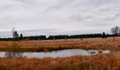 Trail Walking Baelen - 20231030 - Drossart 7.8 Km - Photo 15