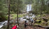 Trail Walking Vagney - Cascade de la Pissoire - Haut du Tôt  - Photo 2