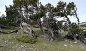 Tour Wandern Bédoin - les glacières par le sommet du ventoux - Photo 11