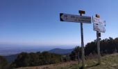 Tour Rennrad Sennheim - Le Grand ballon de Cernay  - Photo 3