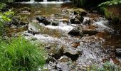 Tocht Stappen Jalhay - La balade des ruisseaux - Photo 1