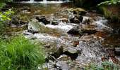 Percorso Marcia Jalhay - La balade des ruisseaux - Photo 1